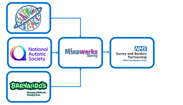 NHS and charity partner ecosystem